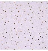 Geschenkpapierzuschnitte Finamente lilac 01 036, FINAMENTE, 50cm x 70cm, lila