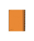Pultordner Trend 24129-09, 12-teilig blanko, orange, A4, 12 F&auml;cher