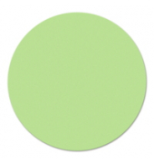 Moderationskreise Legamaster 253504, D 19cm, grün