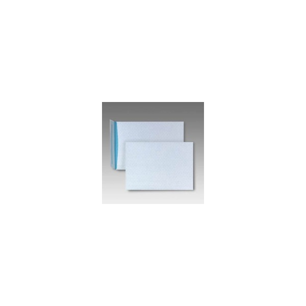 4040134050737 - Versandtaschen 4070400 C4 229x324 ohne Fenster HK weiß 100 S 4040134050737 - Versandtaschen 4070400 C4 229x324 ohne Fenster HK weiß 100 S
