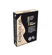 Recyclingpapier evercolor 30259C chamois A3 80g 