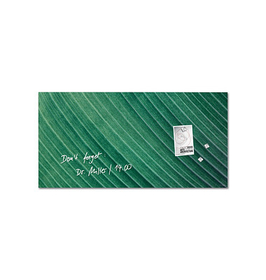 SIGEL Glas-Magnettafel artverum 91,0 x 46,0 cm Design Palm Leaf matt