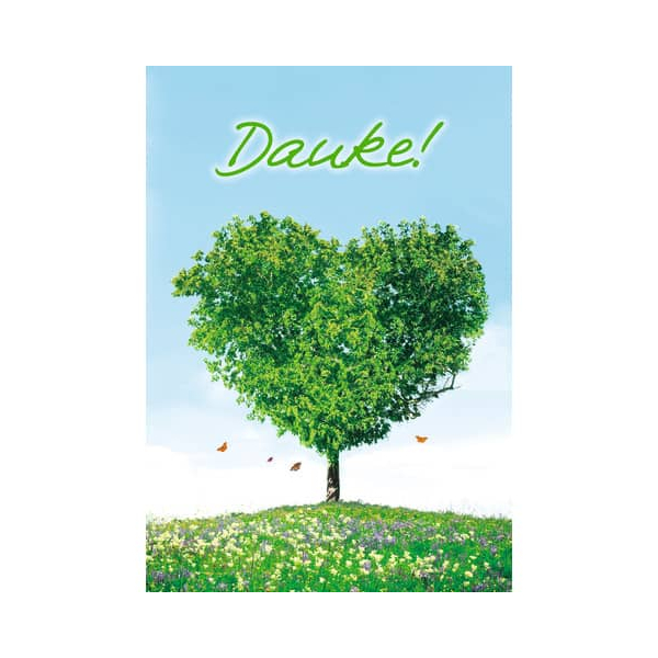 6 Stück PBs Dankeskarten 01-259 Danke bunt 4057319012596 PBs