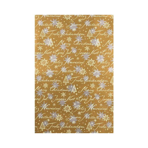 4058653800887 - Geschenkpapierzuschnitte 0A53791 Weihnachten 50cm x 50m gold silber weiß 4058653800887 Zöwie 4058653800887 - Geschenkpapierzuschnitte 0A53791 Weihnachten 50cm x 50m gold silber weiß 4058653800887 Zöwie