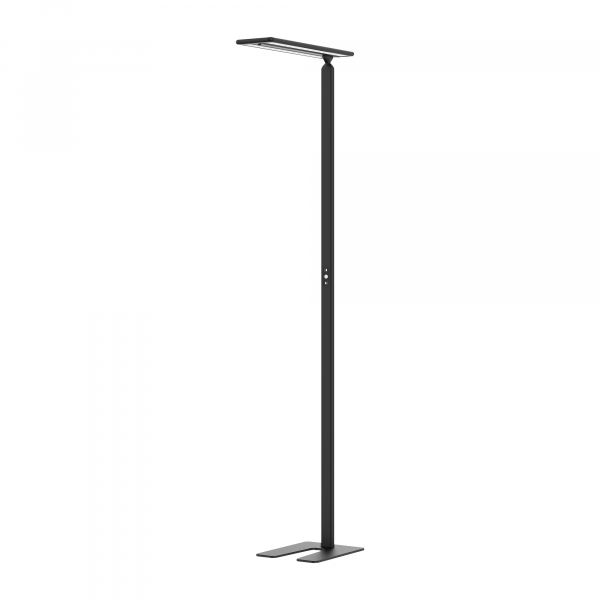 7612176092326 - LED Stehleuchte Hansa Larimar verstell- & drehbar Energieeffizienzklasse E 81 Lumen 4000 K H 1997 mm schwarz