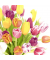 Motivservietten 204872 / Tulpen, 3-lagig, 25x25cm