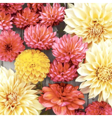 Motivserviette, 25x25cm, 3-lagig 