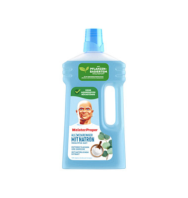 Natron Allzweckreiniger 1,0 l 