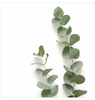 Motivserviette 25x25cm 3lagig 