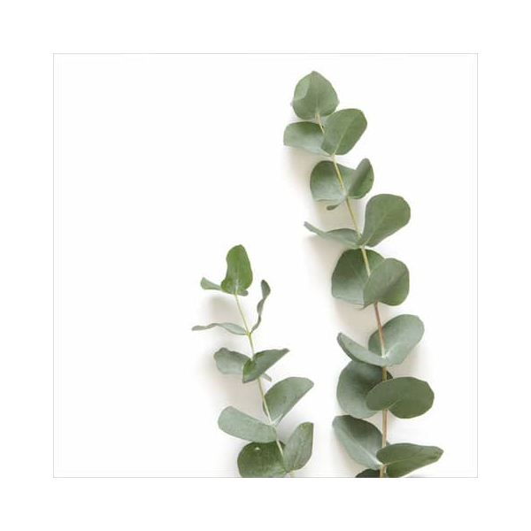 4014995267023 - Motivserviette 25x25cm 3lagig 4014995267023 20 Stück 4014995267023 - Motivserviette 25x25cm 3lagig 4014995267023 20 Stück