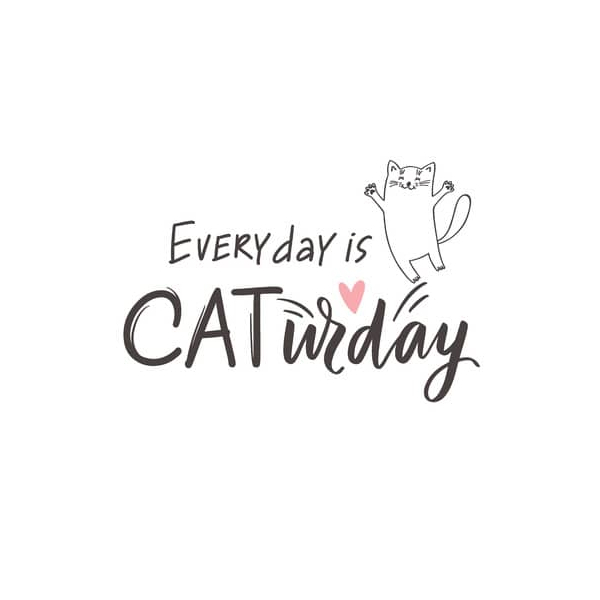7321012061425 - Motivserviette 33x33cm 3-lagig 7321012061425 PAPER+DESIGN 7321012061425 - Motivserviette 33x33cm 3-lagig 7321012061425 PAPER+DESIGN