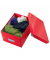 Archivbox Click & Store 6043-00-26, A5 quer, rot, innen 25x20x14,8cm (TxBxH), Graukarton mit PP-Folie laminiert