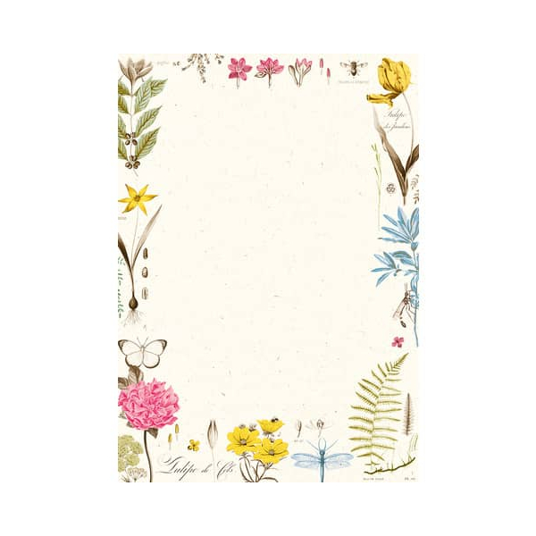 50 Stück Rössler Briefpapier 16431688800, Coloured Botanical, A4, 100g 4014970437335 Rössler