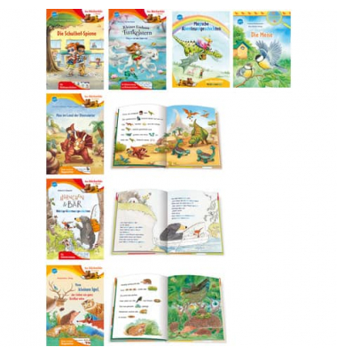 Kinderbuch Bücherbär Erstleser sortiert