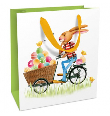 Geschenktasche 1542-24305, Eiertransport, 180mm x 210mm