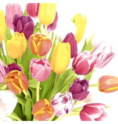 Motivservietten 204871 / Tulpen, 3-lagig, 33x3cm