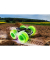 RC Stunt Monster Mini 1080 Ferngesteuertes Auto schwarz 
