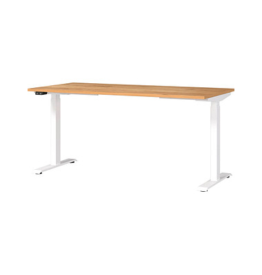 Sitz-Steh-Schreibtisch JET, elektrisch höhenverstellbar, 72-120cm (H), 160x80cm (BxT), rechteckig, navarra-eiche / weiß