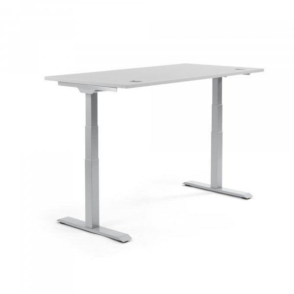 4003969134621 - Sitz-Steh-Schreibtisch Flex Modul 810060781 elektrisch höhenverstellbar 605-1255cm (H) 120x80cm (BxT) rechteckig lichtgra