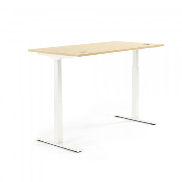 4003969133921 - Sitz-Steh-Schreibtisch Flex Modul 810061479 elektrisch höhenverstellbar 605-1255cm (H) 200x80cm (BxT) rechteckig ahorn   W