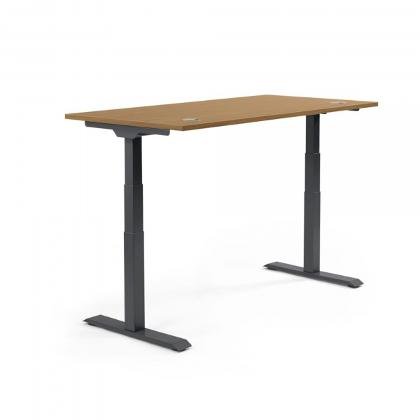 4003969134133 - Sitz-Steh-Schreibtisch Flex Modul 810061873 elektrisch höhenverstellbar 605-1255cm (H) 200x80cm (BxT) rechteckig nuss   Sc