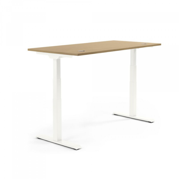 4003969134362 - Sitz-Steh-Schreibtisch Flex Modul 810061171 elektrisch höhenverstellbar 605-1255cm (H) 120x80cm (BxT) rechteckig eiche hel