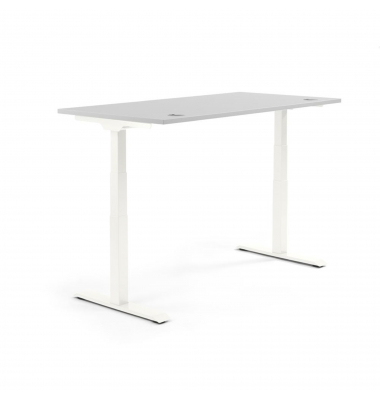 Sitz-Steh-Schreibtisch FLEX MODUL, elektrisch h&ouml;henverstellbar, 60,5-125,5cm (H), 160x80cm (BxT), rechteckig, lichtgrau / wei&szlig;