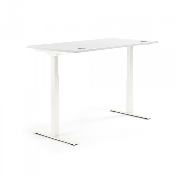 4003969134829 - Sitz-Steh-Schreibtisch Flex Modul 810061201 elektrisch höhenverstellbar 605-1255cm (H) 160x80cm (BxT) rechteckig weiß   We