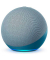 Echo Dot 4 Smart Speaker blau, grau