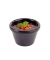 Dipschalen CASUAL schwarz 0,05 l