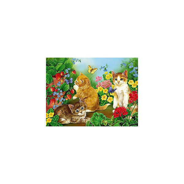4016490818922 - Bastelset Kätzchen in Blumenwiese mehrfarbig 4016490818922 PRACHT Creatives 4016490818922 - Bastelset Kätzchen in Blumenwiese mehrfarbig 4016490818922 PRACHT Creatives