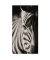 Trennwand easyScreen Black & White 61259 bunt 94,0 x 173,4 cm