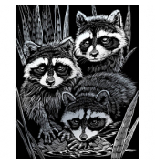 Kratzbild Waschbären silber