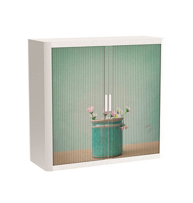 easyOffice Garden Factory Rollladenschrank 61102 2 Fachböden 110,0 x 41,5 x 104,0 cm