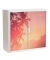easyOffice Tropical Rollladenschrank 61290 2 Fachböden 110,0 x 41,5 x 104,0 cm