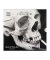 Skull-Edition Zeichenkohle farbsortiert 1 Set