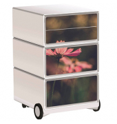 easyOffice Garden Factory Rollcontainer weiß, bunt 4 Auszüge 39,0 x 43,6 x 64,2 cm