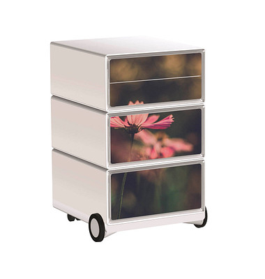 easyOffice Garden Factory Rollcontainer weiß, bunt 4 Auszüge 39,0 x 43,6 x 64,2 cm