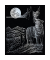 Kratzbild Wolf & Mond silber