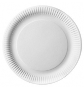 50 PAPSTAR Pappteller pure 29,0 x 29,0 cm