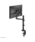Monitor-Halterung DS60-425BL1 NEXT Lite schwarz für 1 Monitor, Tischbohrung, Tischklemme