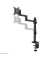 Monitor-Halterung DS60-425BL1 NEXT Lite schwarz für 1 Monitor, Tischbohrung, Tischklemme
