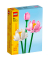 40647 Lotusblumen Bausatz