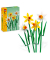 40747 Narzissen Bausatz