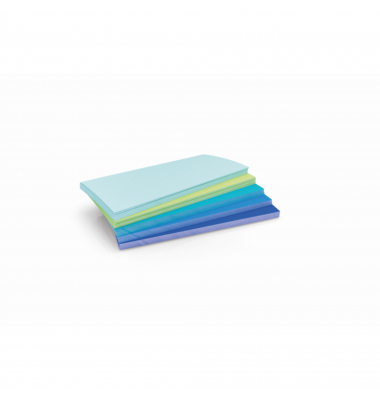 magnetoplan Moderationskarte Sea 112501530 200x100mm sort. 250St.