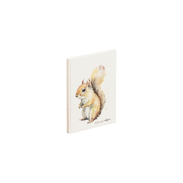 4009212063564 -  Notizbuch 26099-15 Eichhörnchen weiß A5 punktkariert 70g 64 Blatt   128 Seiten 4009212063564 PAGNA