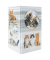 Stiftehalter Katzen Karton 8,0 x 8,0 x 13,5 cm