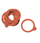 10 APS Gummiringe für Einmachgläser orange