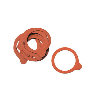 10 APS Gummiringe für Einmachgläser orange