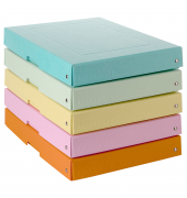 Aufbewahrungsbox PureBox Pastell 22001952, mit Deckel, au&szlig;en 24x4x32cm, Pappe farbig sortiert